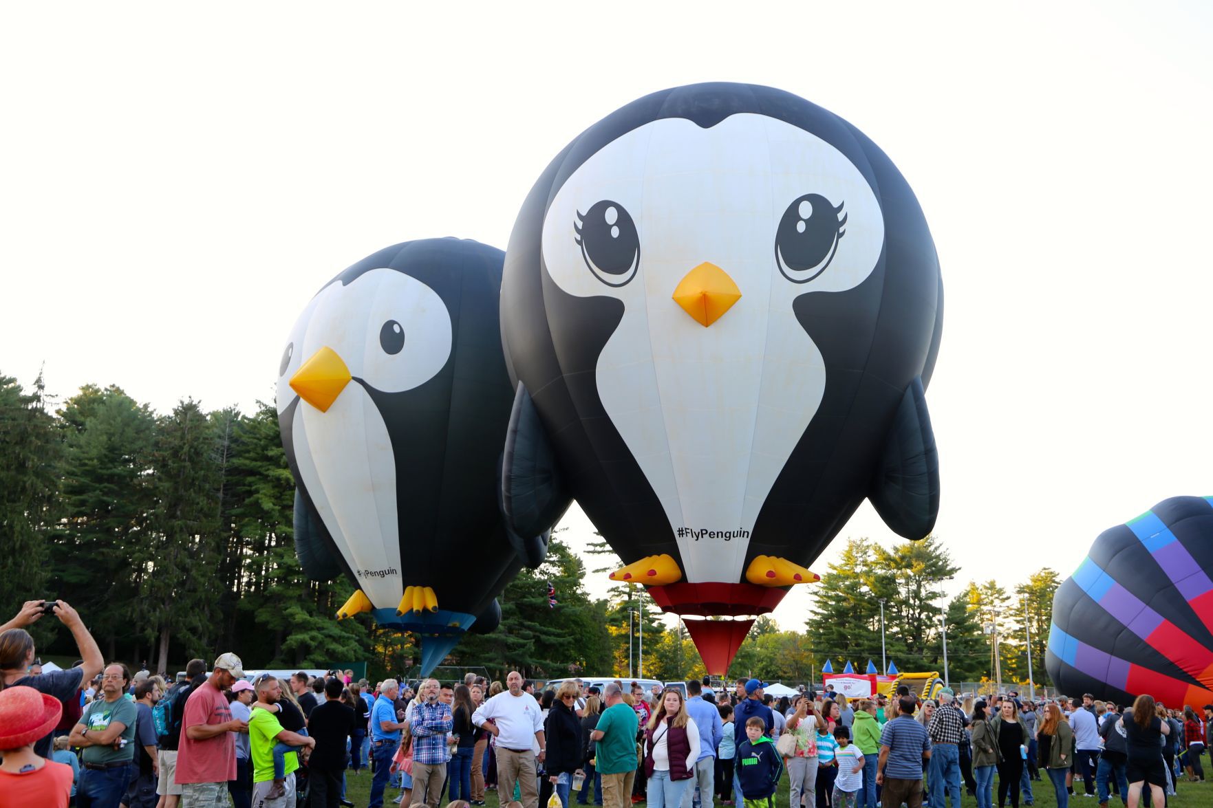 Adirondack Balloon Festival, Sunday